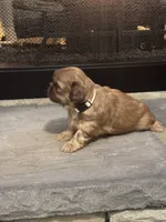 processed/368a610a-9e21-490f-b339-722c49f2ef48/listing/702023fb-33fa-4a21-ab4e-be6b466142eb/4b50f993-b832-4b2d-99b0-9cf2b9bfc8fd