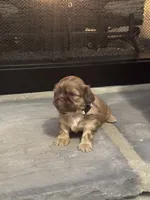 processed/368a610a-9e21-490f-b339-722c49f2ef48/listing/702023fb-33fa-4a21-ab4e-be6b466142eb/8079a432-68f4-43e4-968f-4f3f49c548cb