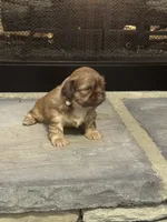 processed/368a610a-9e21-490f-b339-722c49f2ef48/listing/702023fb-33fa-4a21-ab4e-be6b466142eb/a68499fa-364b-485f-8d42-bffccda43495