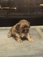 processed/368a610a-9e21-490f-b339-722c49f2ef48/listing/702023fb-33fa-4a21-ab4e-be6b466142eb/d667f7c2-b857-4590-88a7-1b1e6cd92f60