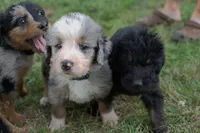 processed/368b5274-d8f1-4d24-b048-09a7ee7090a4/listing/4c40ea05-b9a5-4794-8ca4-ab5f51364773/1706c02d-d138-4b22-a624-2a20eaaa5ea6