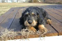 processed/368b5274-d8f1-4d24-b048-09a7ee7090a4/listing/4c40ea05-b9a5-4794-8ca4-ab5f51364773/34536eeb-dd62-4fa2-8822-7dd70676c788