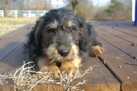 processed/368b5274-d8f1-4d24-b048-09a7ee7090a4/listing/4c40ea05-b9a5-4794-8ca4-ab5f51364773/ddbc6f03-3156-4620-892f-f33d36b3fdb0