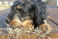 processed/368b5274-d8f1-4d24-b048-09a7ee7090a4/listing/4c40ea05-b9a5-4794-8ca4-ab5f51364773/f50d6b66-ec15-47b5-bb4b-7bcbc1b4b98c