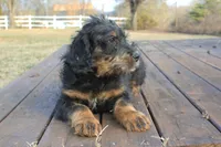 processed/368b5274-d8f1-4d24-b048-09a7ee7090a4/listing/593e3a50-29c7-421c-b8b5-b67b75a49b4d/46d05c42-2611-48b4-aa0a-eac5c811f7d7