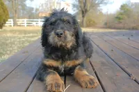 processed/368b5274-d8f1-4d24-b048-09a7ee7090a4/listing/593e3a50-29c7-421c-b8b5-b67b75a49b4d/91eddfc3-3956-4cd7-9f8e-79420a225dbd