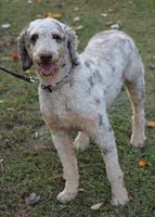 processed/368b5274-d8f1-4d24-b048-09a7ee7090a4/listing/593e3a50-29c7-421c-b8b5-b67b75a49b4d/a45dec8a-990b-4760-87c0-bb0f97db036d