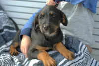 processed/368b5274-d8f1-4d24-b048-09a7ee7090a4/listing/c6431b7f-96b3-4277-9abc-30b72a069a4e/70a7465a-9ea6-4aa0-a18f-7c424cbddd65