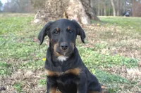 processed/368b5274-d8f1-4d24-b048-09a7ee7090a4/listing/c6431b7f-96b3-4277-9abc-30b72a069a4e/9e47249f-d969-418c-81e9-dd37399fd5d4