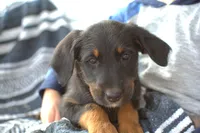 processed/368b5274-d8f1-4d24-b048-09a7ee7090a4/listing/c6431b7f-96b3-4277-9abc-30b72a069a4e/bd69a4ce-eca8-47c8-b706-1bc10deec855