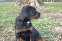 processed/368b5274-d8f1-4d24-b048-09a7ee7090a4/listing/c6431b7f-96b3-4277-9abc-30b72a069a4e/c83afcd3-81c5-4d04-9e3a-58f8ef972530