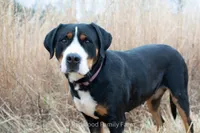 processed/368b5274-d8f1-4d24-b048-09a7ee7090a4/listing/c6431b7f-96b3-4277-9abc-30b72a069a4e/dd2b076a-a87d-482a-9867-0676dd2b7917