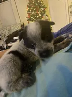 processed/368efe07-9ceb-432c-93d1-e893df915b21/listing/13cbad6d-b907-430d-b374-a8c9e7548ef1/32a5b9ba-8770-4130-a7f2-3f3ba22f9143