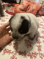 processed/368efe07-9ceb-432c-93d1-e893df915b21/listing/13cbad6d-b907-430d-b374-a8c9e7548ef1/57877144-7dfc-4162-9c10-060621cfdb9b