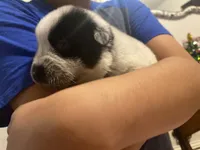 processed/368efe07-9ceb-432c-93d1-e893df915b21/listing/13cbad6d-b907-430d-b374-a8c9e7548ef1/bc2dcedc-3462-407b-b4bb-2fa2720b1563