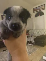 processed/368efe07-9ceb-432c-93d1-e893df915b21/listing/13cbad6d-b907-430d-b374-a8c9e7548ef1/c51d4426-2cf1-4e16-a786-22b72d9730ad