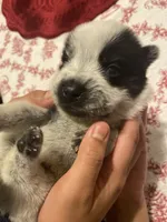 processed/368efe07-9ceb-432c-93d1-e893df915b21/listing/13cbad6d-b907-430d-b374-a8c9e7548ef1/cf466e83-db42-42b4-83ab-28e8714ae49a