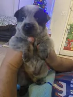 processed/368efe07-9ceb-432c-93d1-e893df915b21/listing/13cbad6d-b907-430d-b374-a8c9e7548ef1/f9b059f1-27e9-42bb-94c2-62ea1d126ba6