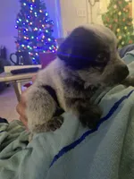 processed/368efe07-9ceb-432c-93d1-e893df915b21/listing/13cbad6d-b907-430d-b374-a8c9e7548ef1/fdc2419c-67cd-4183-9fef-9df7647e7d2f