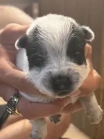 processed/368efe07-9ceb-432c-93d1-e893df915b21/listing/13cbad6d-b907-430d-b374-a8c9e7548ef1/ff59ee5b-322a-461d-b247-5717d54a7152