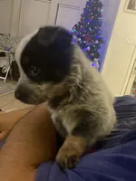 processed/368efe07-9ceb-432c-93d1-e893df915b21/listing/3667f32f-7b7f-4f24-ad44-d99527b00068/5dce802e-f4fe-4f2a-8947-f00773fa592b