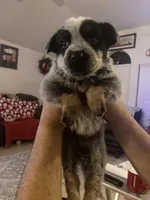 processed/368efe07-9ceb-432c-93d1-e893df915b21/listing/3667f32f-7b7f-4f24-ad44-d99527b00068/88c91798-e6ab-46ce-80ef-f63734d9f68d