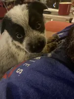 processed/368efe07-9ceb-432c-93d1-e893df915b21/listing/3667f32f-7b7f-4f24-ad44-d99527b00068/969e9985-934d-43dc-8173-9a3c50072843