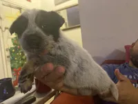 processed/368efe07-9ceb-432c-93d1-e893df915b21/listing/3667f32f-7b7f-4f24-ad44-d99527b00068/dc43e61c-7631-4ebf-af9e-07c25b903d22