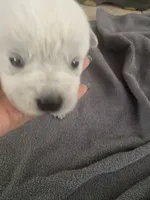 processed/368efe07-9ceb-432c-93d1-e893df915b21/listing/6b92f790-28a1-4f6d-8a5d-6e892f256c69/0ba0f9bb-6bce-4da0-98fd-8364230c4dcb