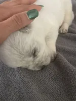 processed/368efe07-9ceb-432c-93d1-e893df915b21/listing/6b92f790-28a1-4f6d-8a5d-6e892f256c69/0bfaf247-dfaf-4335-a987-55eb7771bf46