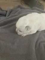 processed/368efe07-9ceb-432c-93d1-e893df915b21/listing/6b92f790-28a1-4f6d-8a5d-6e892f256c69/3267e1f2-9e05-47f2-b3f8-47fd4f30423a