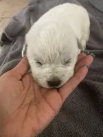 processed/368efe07-9ceb-432c-93d1-e893df915b21/listing/6b92f790-28a1-4f6d-8a5d-6e892f256c69/a58005f4-eeb7-4bfe-8cb2-f19ad4c7f1ae