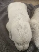 processed/368efe07-9ceb-432c-93d1-e893df915b21/listing/6b92f790-28a1-4f6d-8a5d-6e892f256c69/ae317eaf-3b11-421c-bd50-549990990bd1