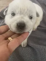 processed/368efe07-9ceb-432c-93d1-e893df915b21/listing/6b92f790-28a1-4f6d-8a5d-6e892f256c69/ef79d51a-29e6-42b3-b1f4-bb13824f0b8c