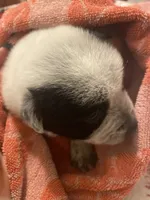 processed/368efe07-9ceb-432c-93d1-e893df915b21/listing/add376a9-0d1a-434e-95b6-126a893e44c1/1cbb0851-c129-47b5-b4a8-075942c5c74a