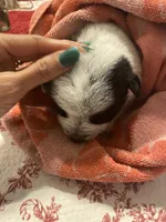 processed/368efe07-9ceb-432c-93d1-e893df915b21/listing/add376a9-0d1a-434e-95b6-126a893e44c1/42529686-f13d-4cef-a356-3168d204a6b0