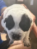 processed/368efe07-9ceb-432c-93d1-e893df915b21/listing/add376a9-0d1a-434e-95b6-126a893e44c1/859bbb0f-dcee-4254-aa59-46bc0d777e03