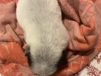 processed/368efe07-9ceb-432c-93d1-e893df915b21/listing/add376a9-0d1a-434e-95b6-126a893e44c1/a3bf45d7-cec5-4cd9-85a7-d0a42e38b568