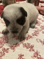 processed/368efe07-9ceb-432c-93d1-e893df915b21/listing/add376a9-0d1a-434e-95b6-126a893e44c1/cd9c7b8b-39e9-41c8-9804-a35a37cbfe1f