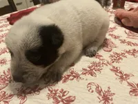 processed/368efe07-9ceb-432c-93d1-e893df915b21/listing/add376a9-0d1a-434e-95b6-126a893e44c1/dc8ad663-4f00-4904-9c53-9cdf3c05c256