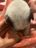 processed/368efe07-9ceb-432c-93d1-e893df915b21/listing/add376a9-0d1a-434e-95b6-126a893e44c1/fe4da5da-991d-48c2-91a2-ce5d0042a7a0