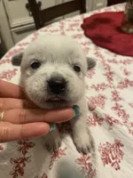 processed/368efe07-9ceb-432c-93d1-e893df915b21/listing/c1842b83-6627-4069-867c-7bdcab215faa/1467cbd2-85ba-4175-9ef1-1b36e987e094