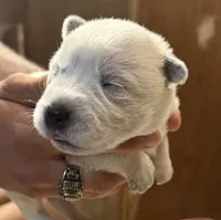 processed/368efe07-9ceb-432c-93d1-e893df915b21/listing/c1842b83-6627-4069-867c-7bdcab215faa/66fc31fd-afbb-4de0-ad1c-47a54ddfc59c