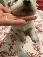 processed/368efe07-9ceb-432c-93d1-e893df915b21/listing/c1842b83-6627-4069-867c-7bdcab215faa/eec542db-d8a1-4cd9-99ee-50df0707f107