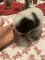 processed/368efe07-9ceb-432c-93d1-e893df915b21/listing/d11c28af-fbb0-486a-8295-4d3f513bbcf1/22308391-a97c-46c9-a140-4e04e237cd25