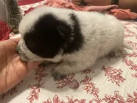 processed/368efe07-9ceb-432c-93d1-e893df915b21/listing/d11c28af-fbb0-486a-8295-4d3f513bbcf1/4c938832-9b84-4df8-8cc5-c43578a456c1