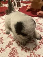 processed/368efe07-9ceb-432c-93d1-e893df915b21/listing/d11c28af-fbb0-486a-8295-4d3f513bbcf1/6769d4b4-e313-4b7f-bb81-d51a71da47fa