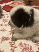 processed/368efe07-9ceb-432c-93d1-e893df915b21/listing/d11c28af-fbb0-486a-8295-4d3f513bbcf1/97a9cd84-522a-44b2-9fdc-db997b9f071a