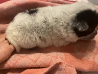 processed/368efe07-9ceb-432c-93d1-e893df915b21/listing/d11c28af-fbb0-486a-8295-4d3f513bbcf1/ba8959aa-146f-4597-a990-a57978a3b306