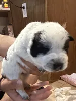 processed/368efe07-9ceb-432c-93d1-e893df915b21/listing/d11c28af-fbb0-486a-8295-4d3f513bbcf1/be5c9502-b905-4cd7-ac66-6fae9f5525ea